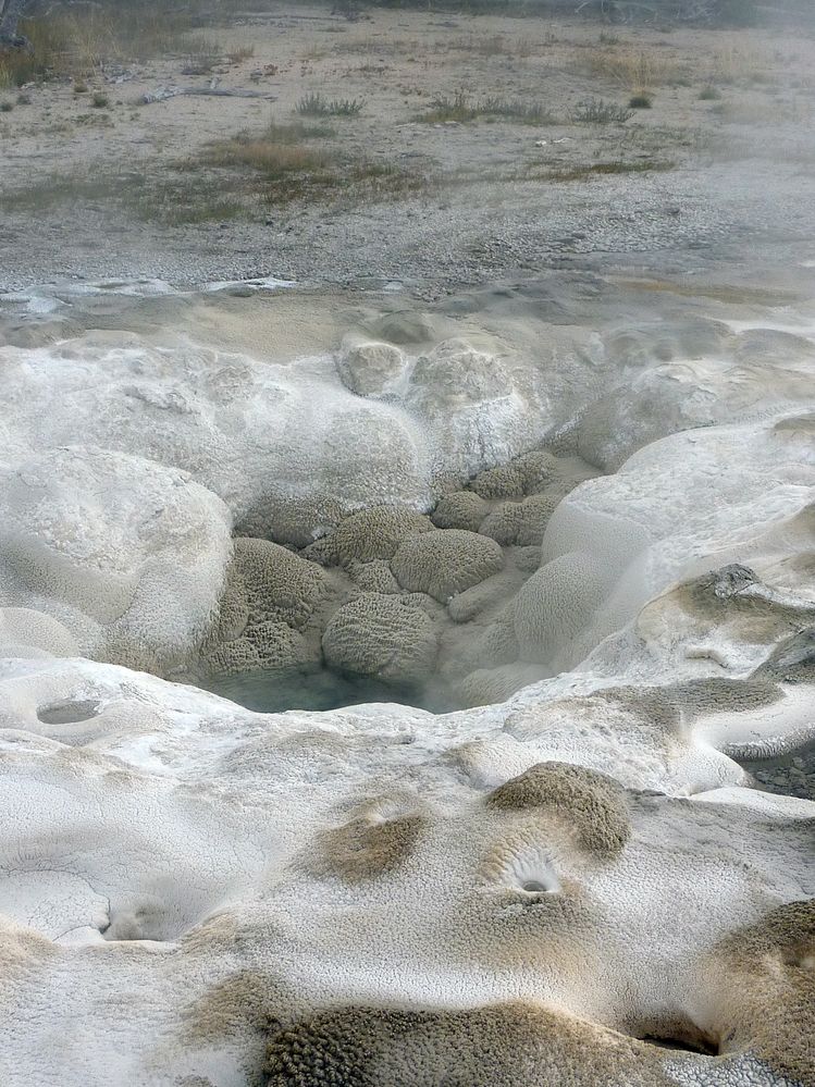 Yellowstone Old faithfull et ses environs (63).JPG